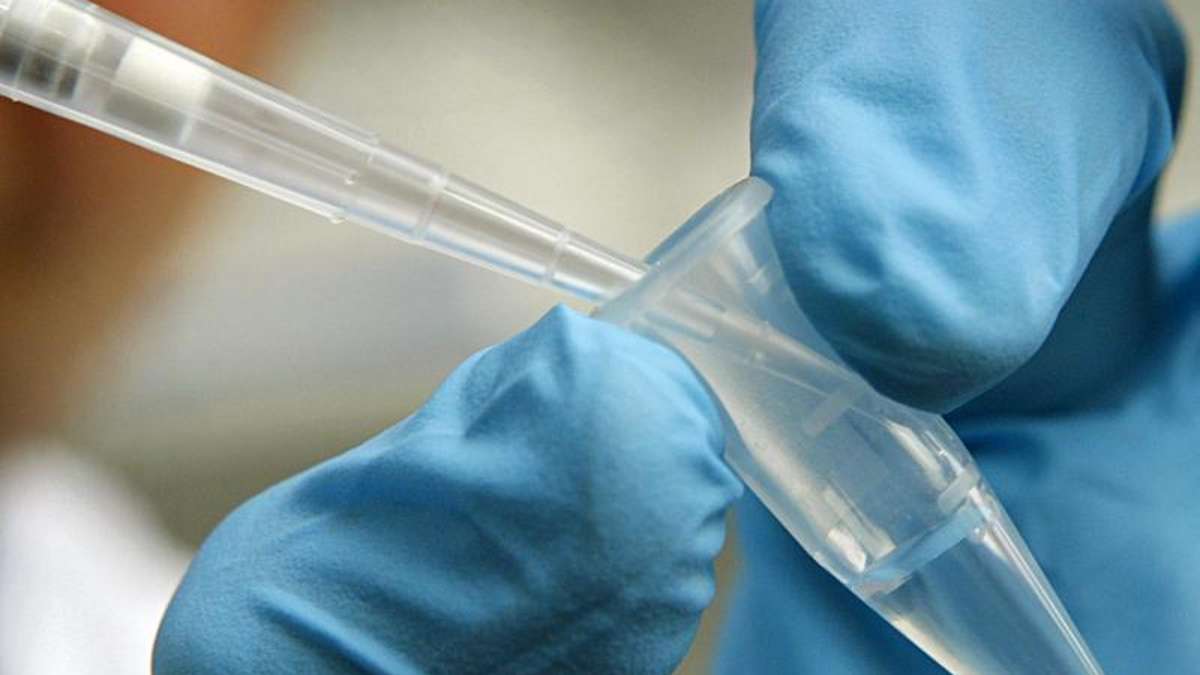 Aus der Region: NSU: Erneut führt eine DNA-Spur nach Oberfranken