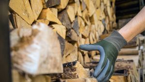 Heizen mit Holz: Bayern setzt weiter voll auf Holz-Energie