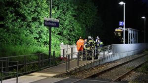 Auseinandersetzung an Bahnsteig: Zwei Männer stürzen vor einfahrenden Zug und werden tödlich verletzt