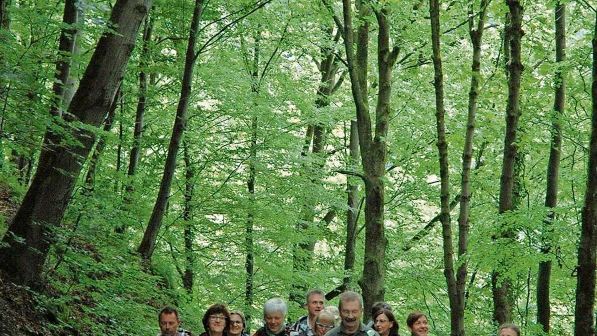 Stadtsteinach/Kronach: Ein Stück Frankenwald selbst gestalten