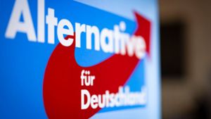 Spionage: AfD sagt Wahlkampftermin mit Krah in Oberfranken ab