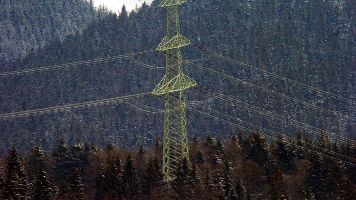 Landkreis Kronach: Keine neue Stromtrasse durch die Region