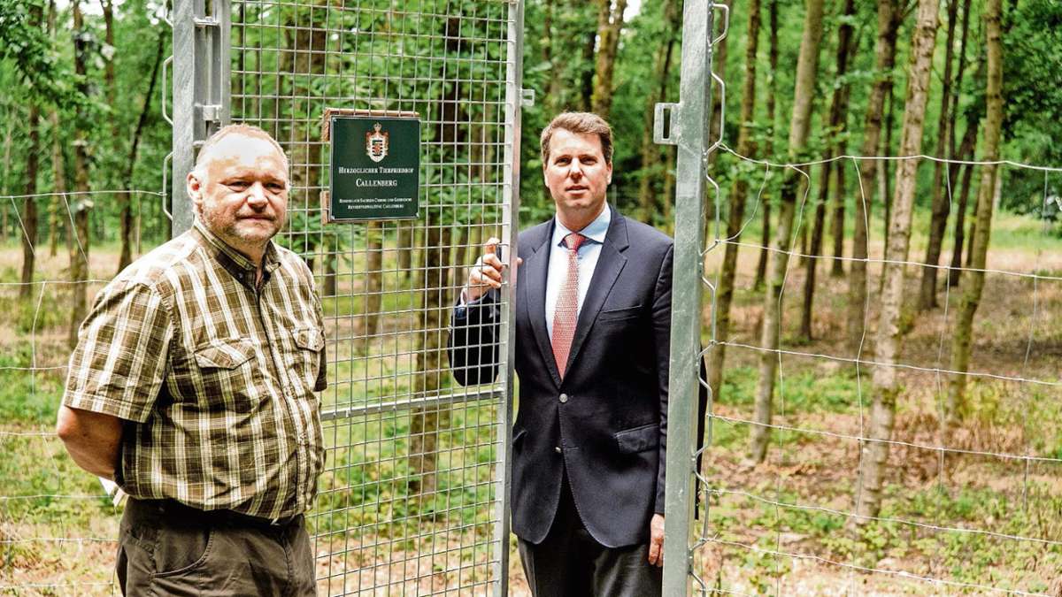 Coburg: Ein Waldfriedhof für Tiere