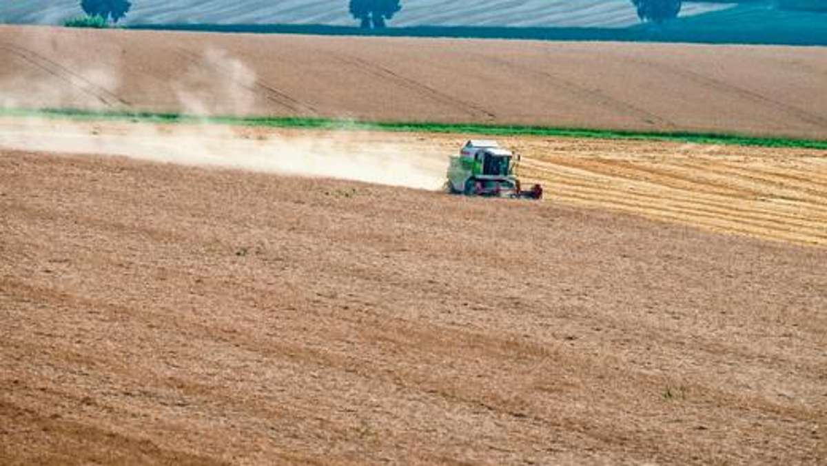 Coburg: Bauern fürchten sinkende Preise
