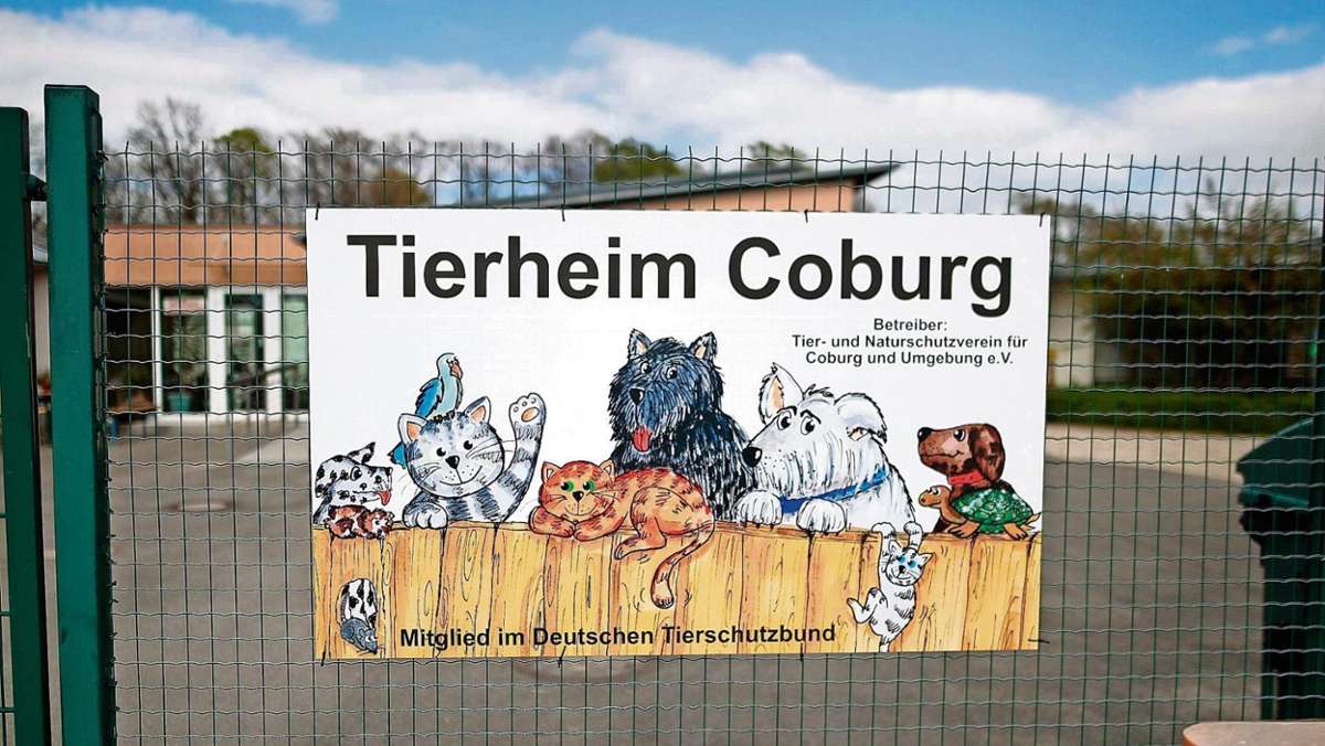 Coburg: Wo sich Hund und Katze stauen