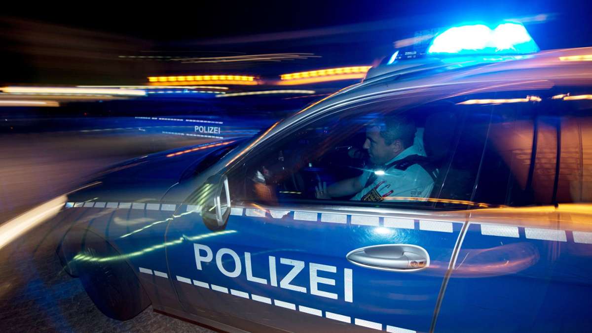 Hessen: Polizei erschießt bei Einsatz aggressiven Hund