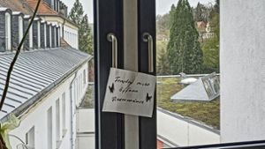 Frankenwaldklinik Kronach: Fledermaus-Alarm im dritten Stock