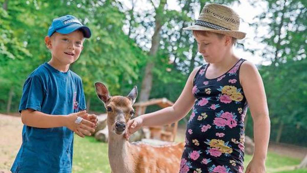 Coburg: Kleine Hirsche machen Kindern großen Spaß