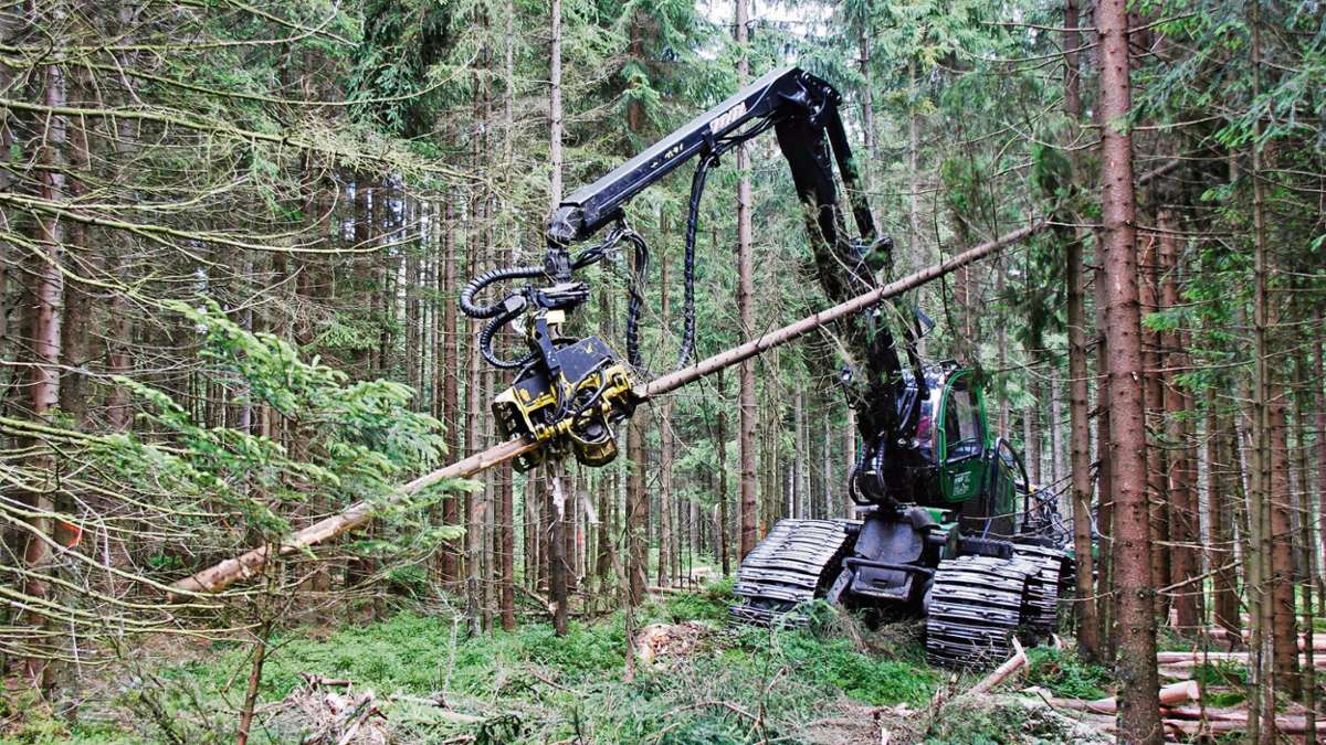 Fichtelberg: Der Harvester frisst sich durch den Wald