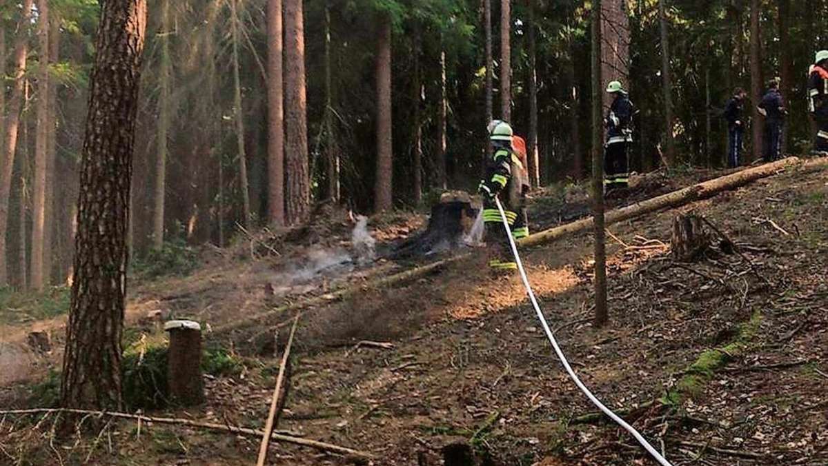 Wüstbuch: Spaziergängerin kann Waldbrand verhindern