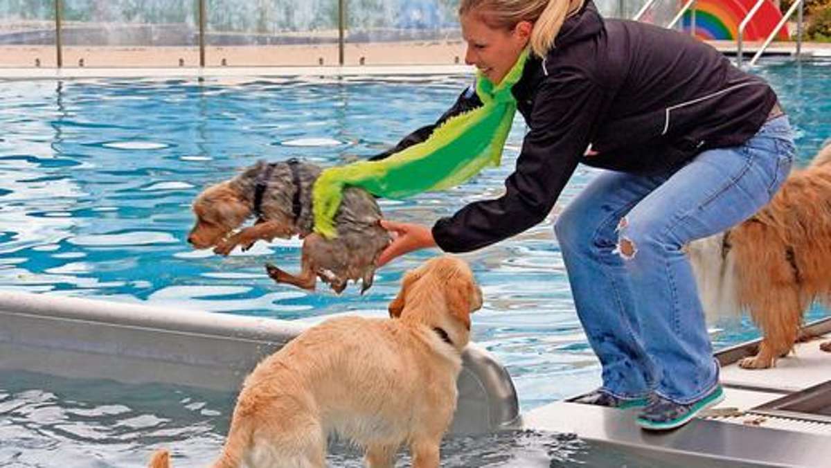 Coburg: Hundeschwimmen: Pitschnasse Vierbeiner fühlen sich pudelwohl