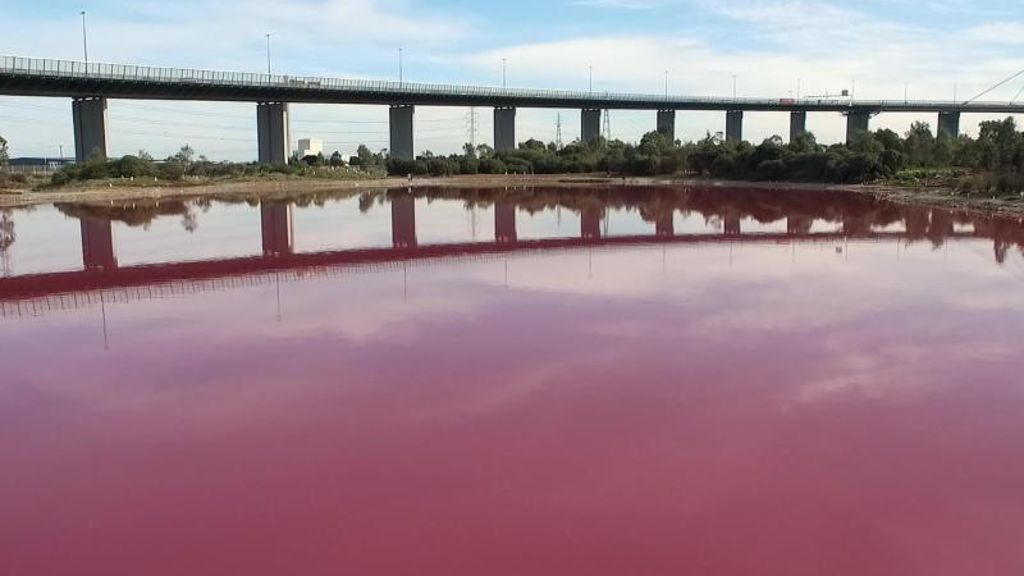 Farbe stammt von Algen: Ein See in knalligem Pink