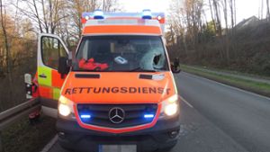 Eisplatte kracht in Rettungswagen: Sanitäter verletzt