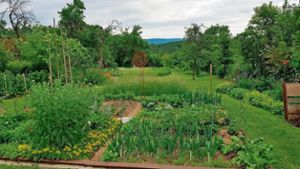 Für mehr Natur in heimischen Gärten