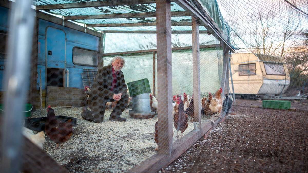 Angst vor Tierseuche: Ausgangssperre für Geflügel