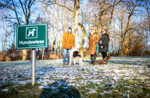 Dr. Ullrich Otte, Michaela Otte und Christina Reißenweber-Müller  wollen ihre Hunde auch ohne Leine sicher spielen lassen. Foto: Frank Wunderatsch