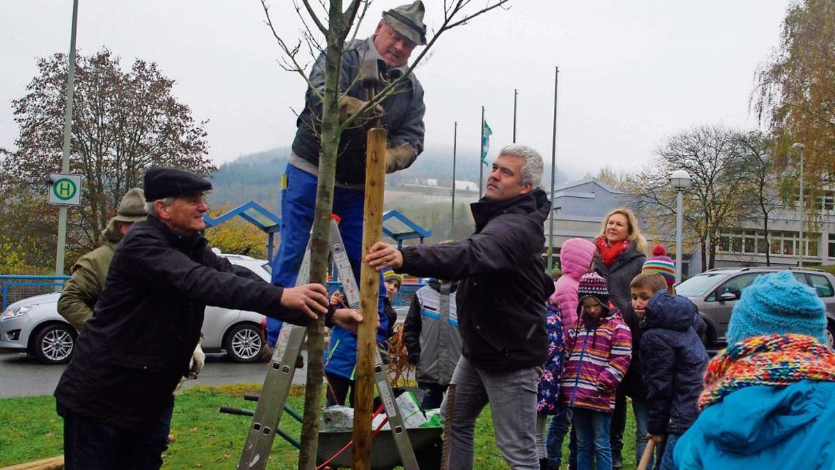 Kronach: Ein Mar(r)onibaum für Ludwigsstadts Schule
