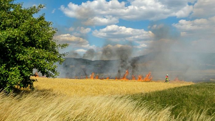 Schon fünfter Flächenbrand: Getreidefeld in Flammen