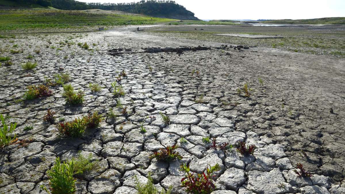 Mega-Dürre in Kalifornien: Kalifornier sollen 15 Prozent weniger Wasser verbrauchen