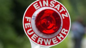 Elsass in Frankfreich: Zwei Verletzte und mehrere tote Rinder nach Brand