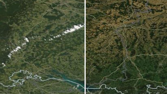 Satellitenbilder zeigen Trockenheit: Deutschland vertrocknet
