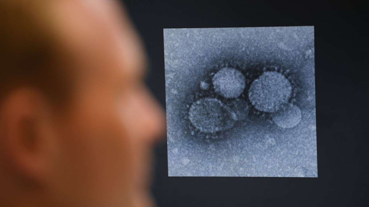 Coronapandemie: Britische Forscher: Corona verzögert Krebsforschung um Jahre