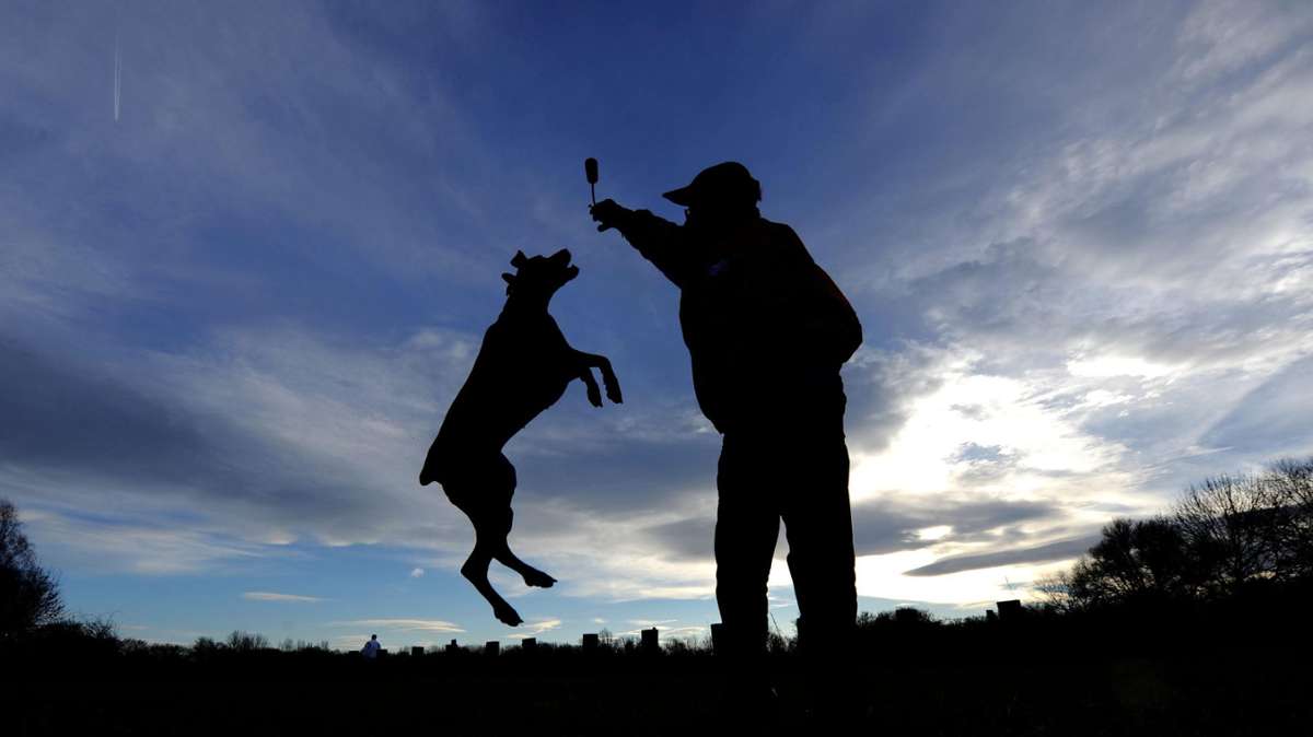 Coburg: Rödental: Streit zweier Hundebesitzer endet blutig