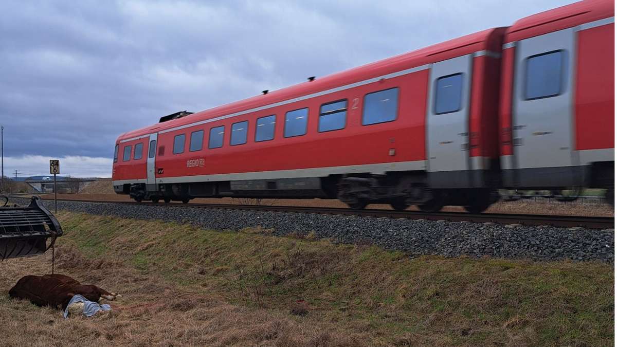 Bei Ramsenthal: Kuh stoppt Züge zwischen Bayreuth und Kulmbach