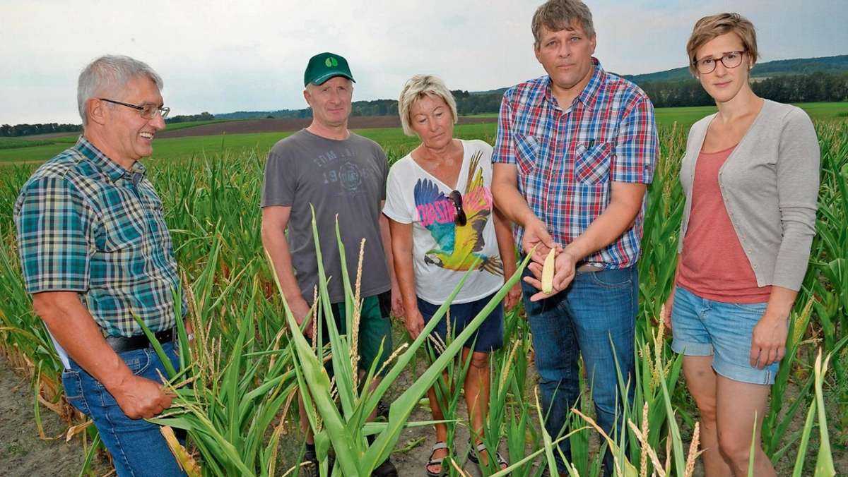 Coburg: Landwirten geht das Futter aus