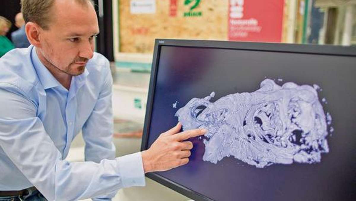 Länderspiegel: Dino-Schädel im Röntgengerät