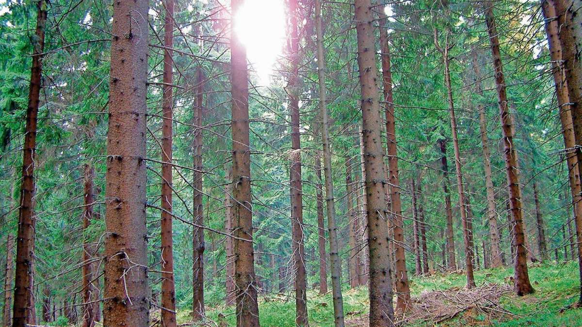Kronach: Naturpark soll erhalten bleiben