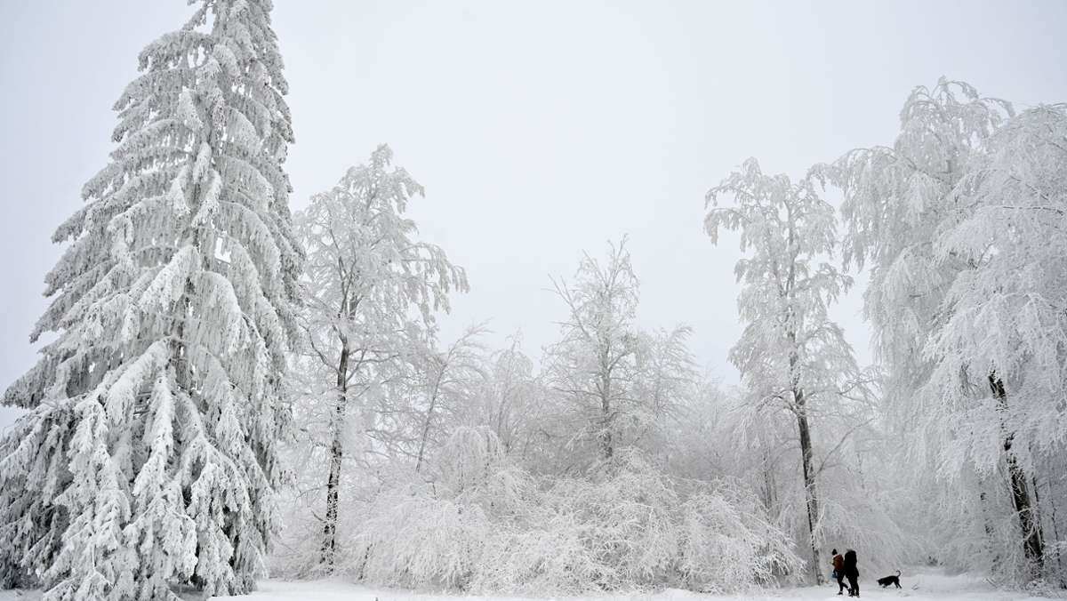 Thüringer Wald: Spaß im Schnee – von wegen