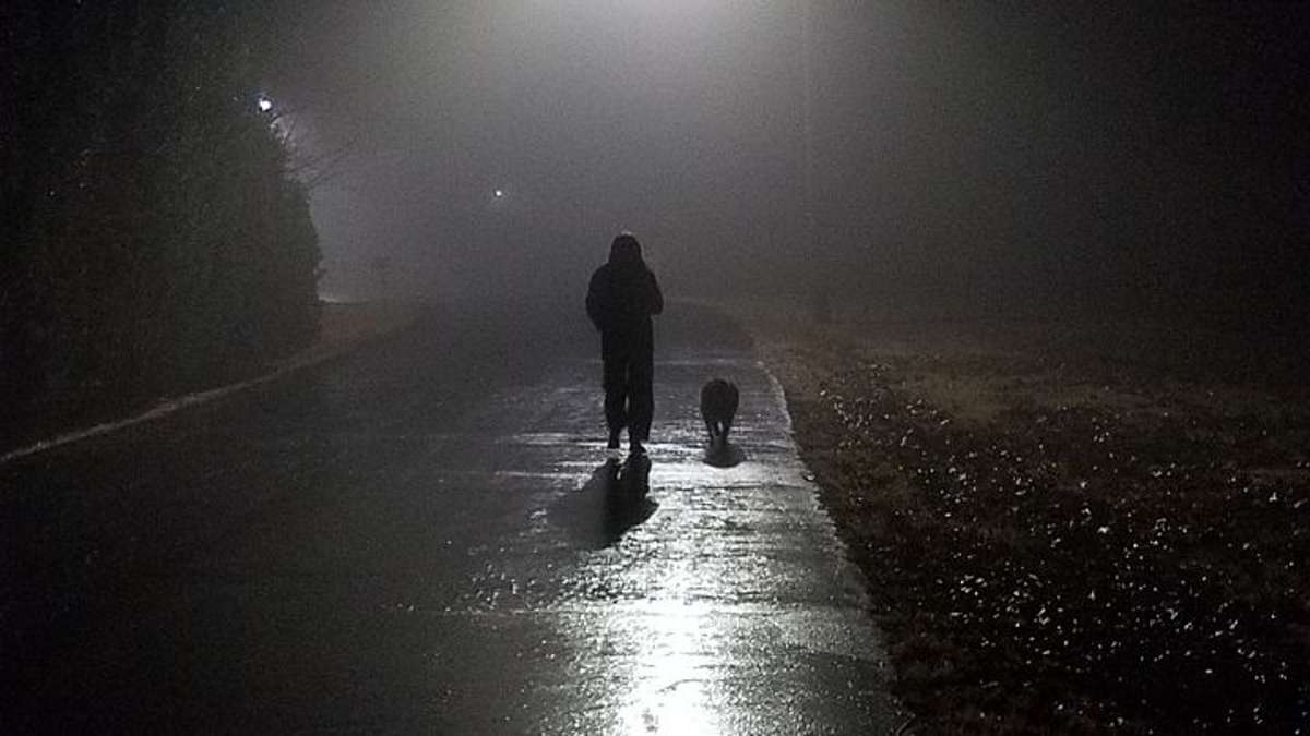 Eine Person geht mit einem Hund bei Dunkelheit spazieren.