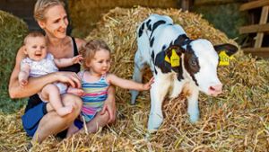 Sonnefeld: Gelernte Ingenieurin führt Milchviehbetrieb