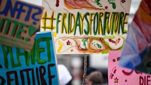 Mannheim hebt Bußgelder wegen Fridays-for-Future-Demos auf