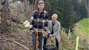 Wilhelmstha: Nachwachsende Spende für den Zukunftswald