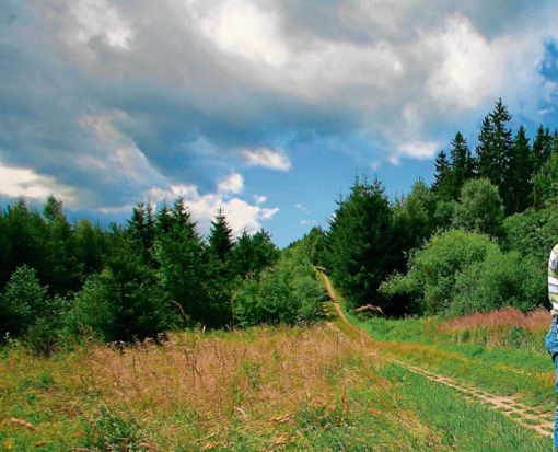 Früher befand sich an der Grenze zwischen Thüringen und Bayern ein Todesstreifen, heute ein Naturschutzgebiet, in dem seltene Arten leben.	Foto: NP-Archiv Quelle: Unbekannt
