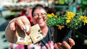 Coburger Wochenmarkt: Blütenträume für die neue Saison