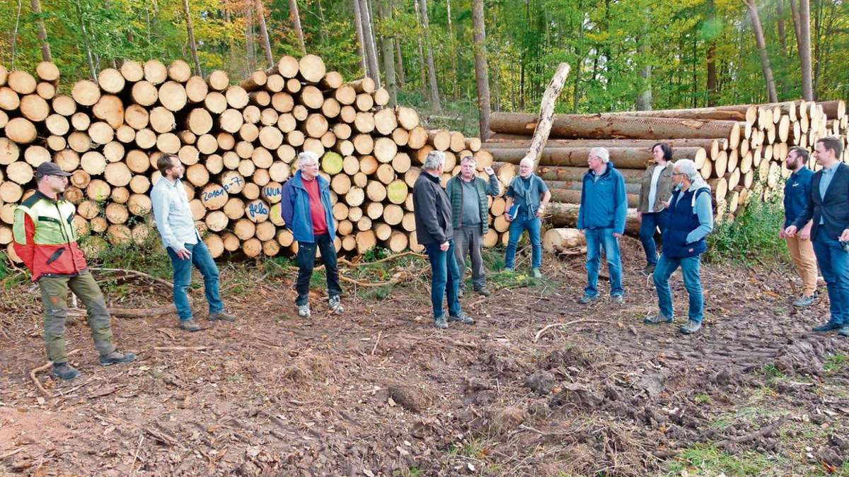 Bad Rodach: Sorge um den Bad Rodacher Wald