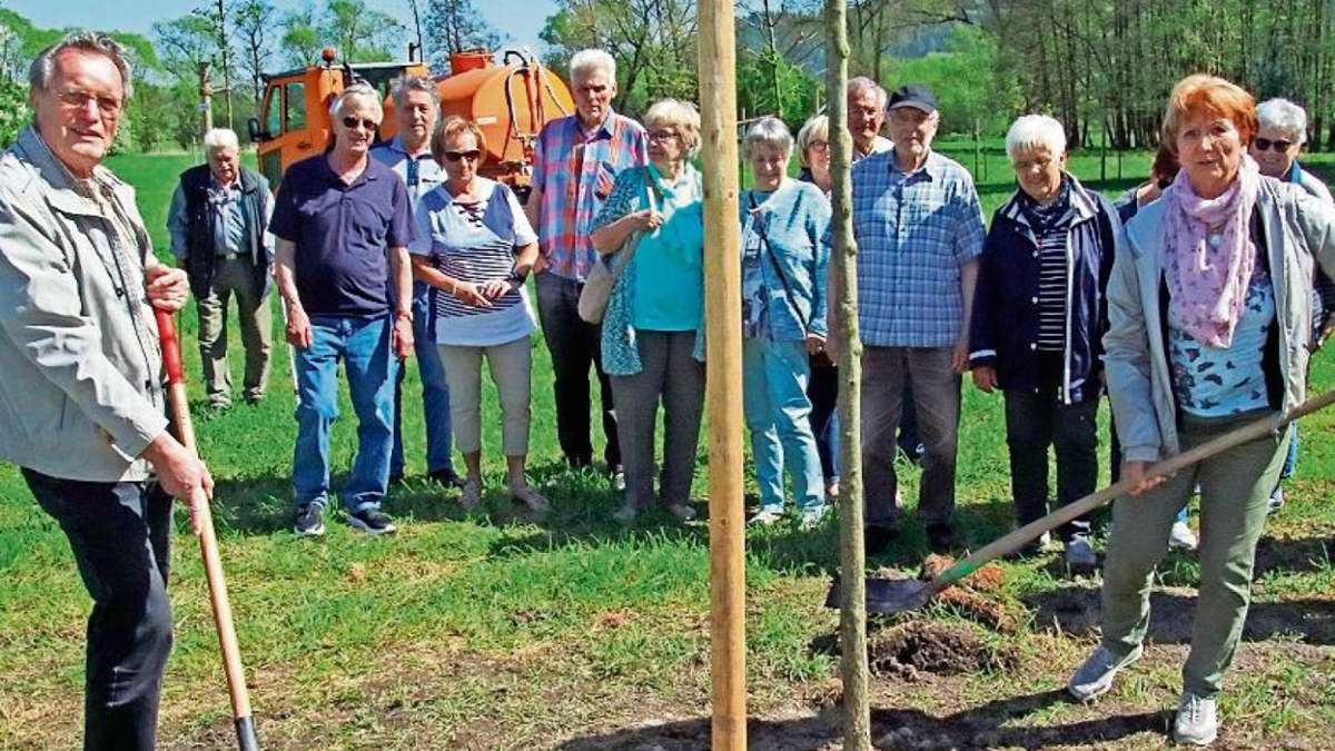 Neustadt: Familienwald wächst und gedeiht