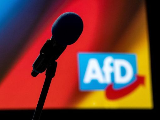 Ein Mikrofon steht vor dem Bundesparteitag der Alternative für Deutschland vor einem Logo der Partei. Foto: Sina Schuldt/dpa