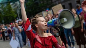 Fridays for Future: Effektiver Protest, unklare Perspektive