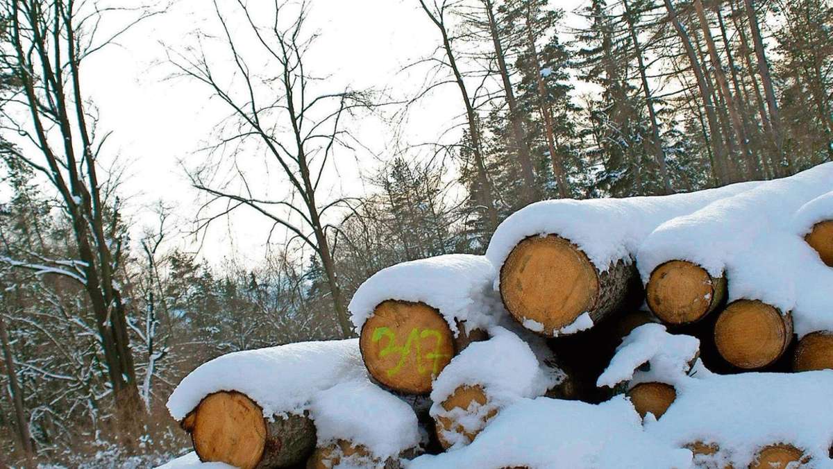 Tettau: Wild macht Wäldern zu schaffen