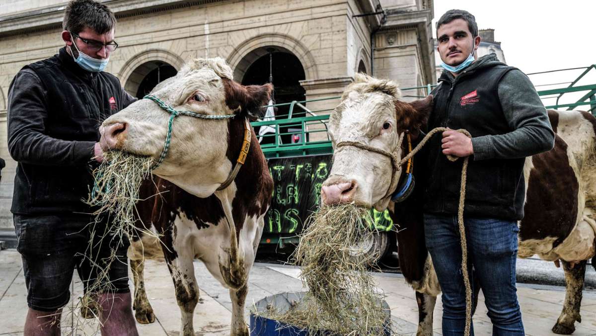 Vegetarische Mahlzeiten: Frankreich streitet um das Schulessen