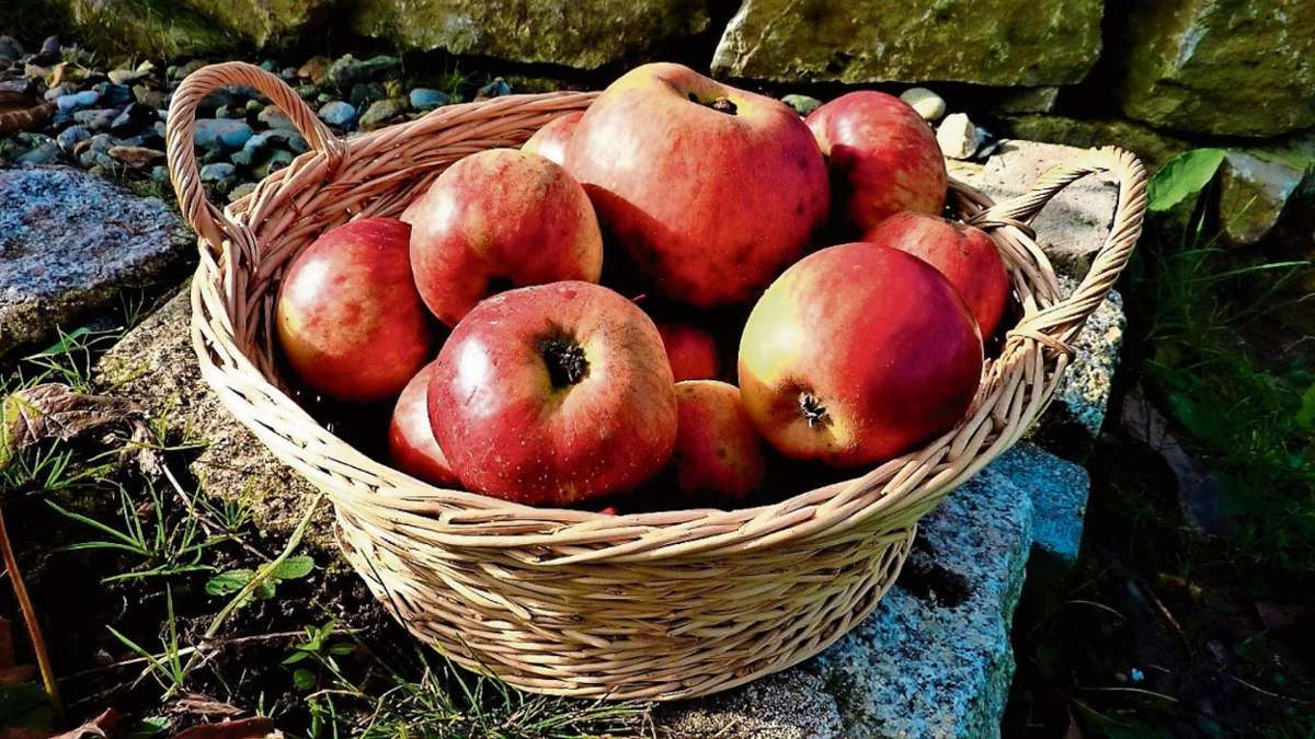 Kronach: Kronacher Apfelmarkt fällt aus
