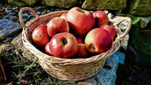 Kronacher Apfelmarkt fällt aus