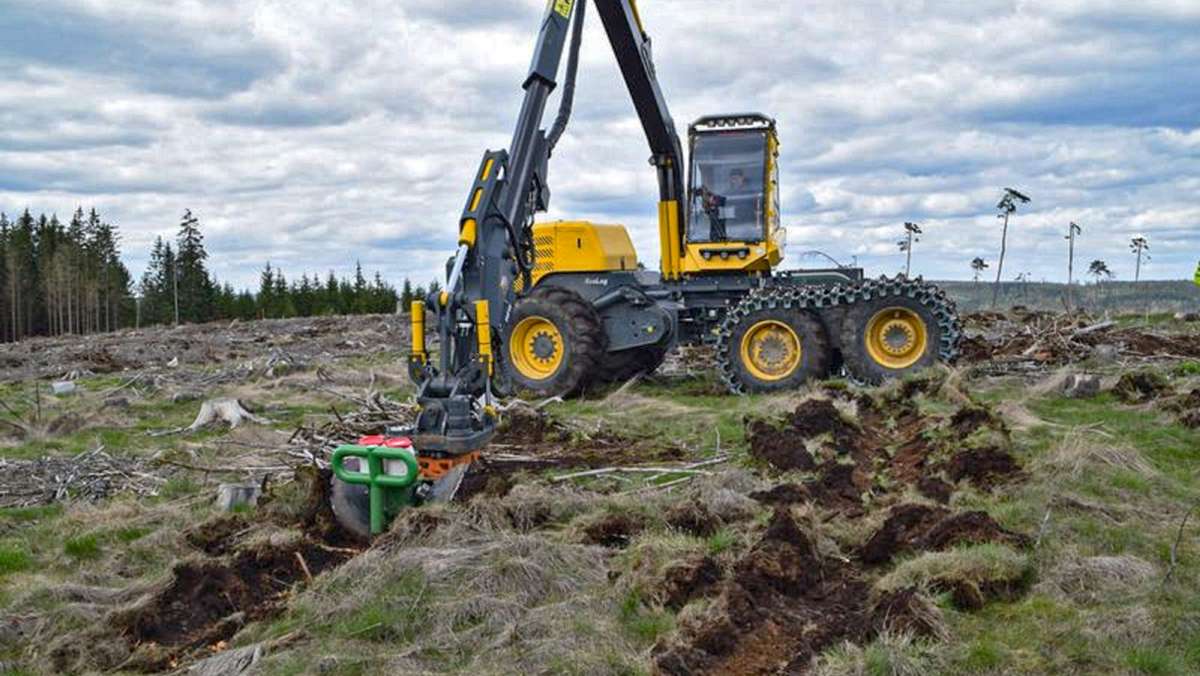 Borkenkäfer-Schäden: Neue Methode soll Frankenwald beleben
