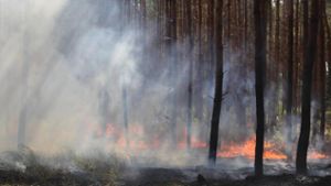Hitzewarnung für den Osten - Waldbrände in Brandenburg