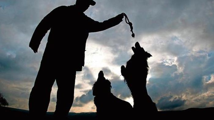 Weißenbrunn erhöht die Hundesteuer