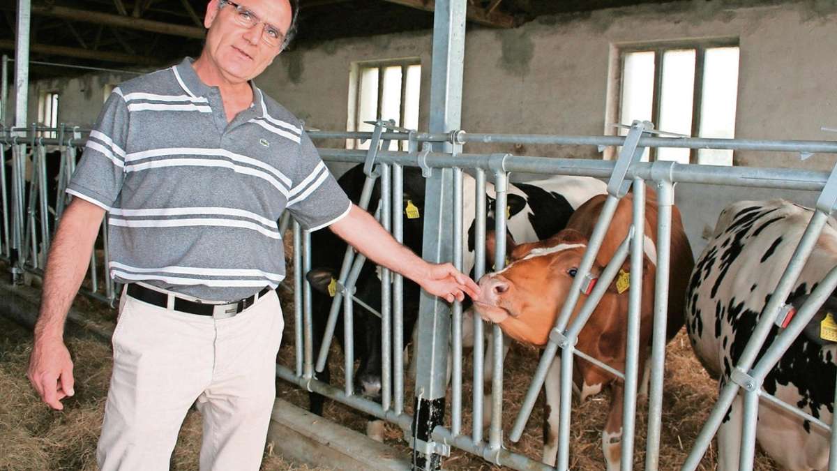 Weißenberg/Löbau: Kuhhandel mit Katar